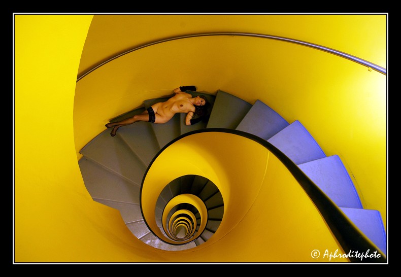 007 L escargot jaune 1